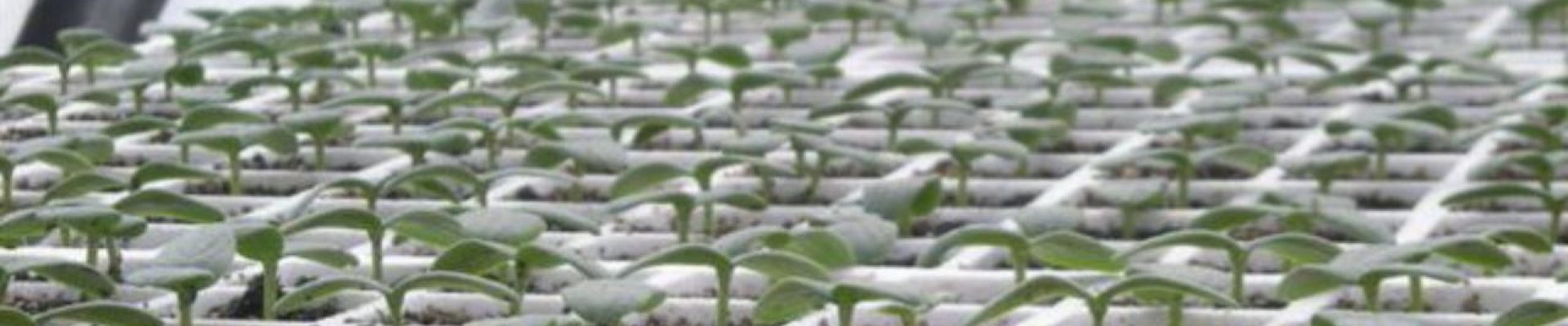 WhatsApp Image 2024-04-06 at 14.19.58_1044be02